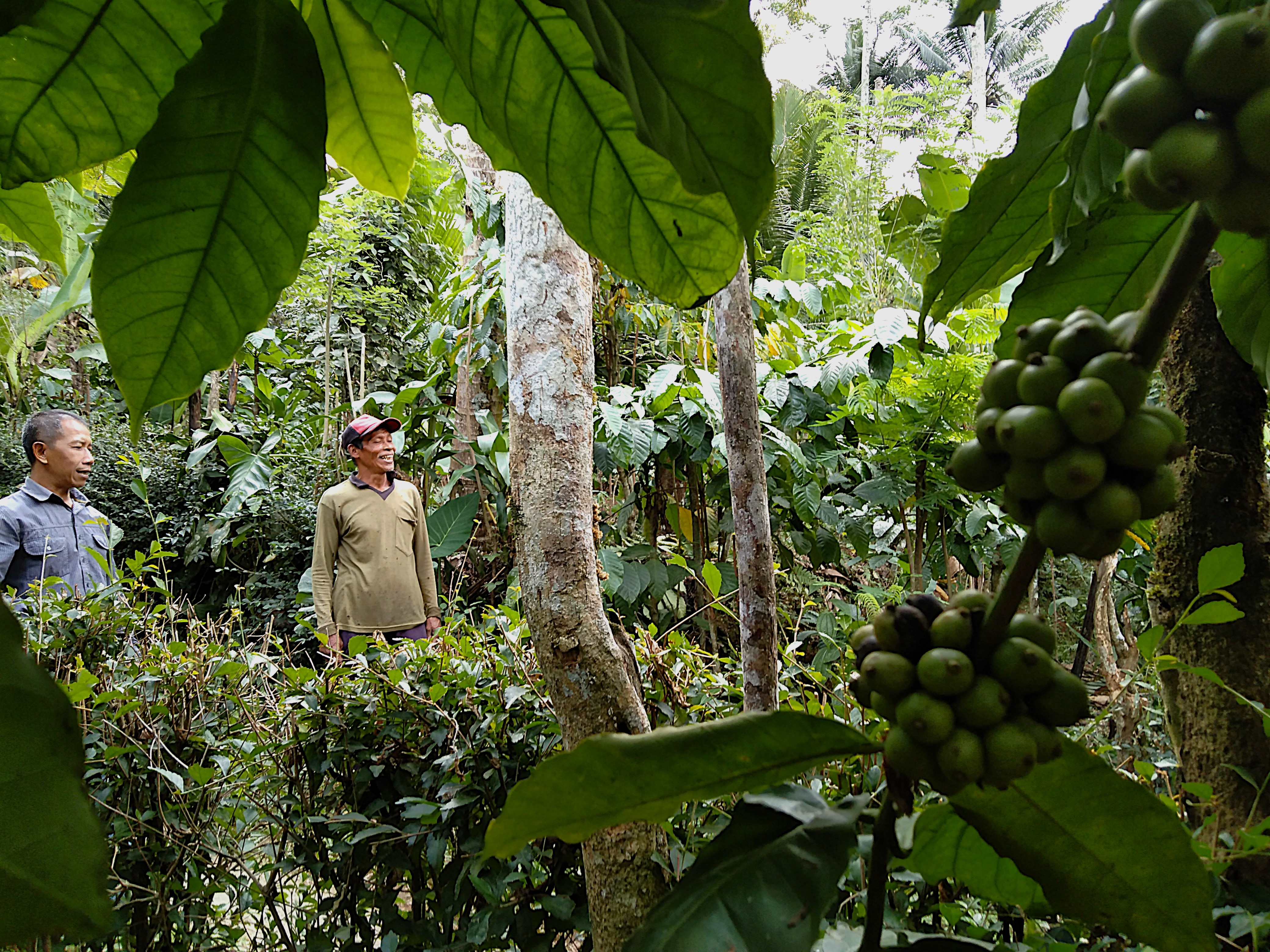 Slowing Down in Blitar: The Unhurried Rhythm of Sumberurip